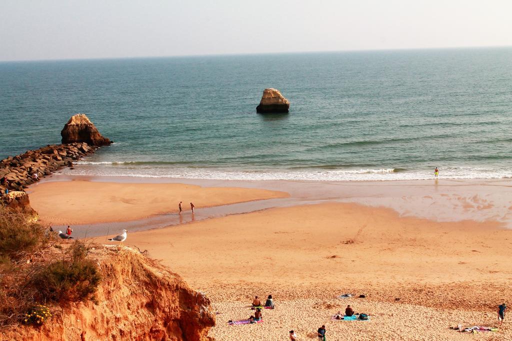 Praia Da Rocha, 502, Charming Apartment, Air Conditioning, Swimming Pool,Free Wifi, Faia By Ig * Portimao